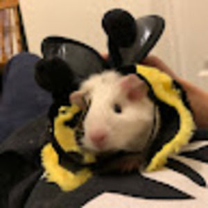 Meet your Posher, Jenn